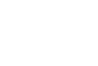 light logo